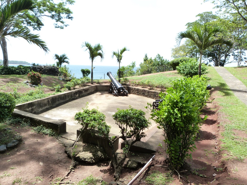 P1230113