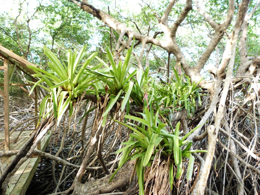 P1230196