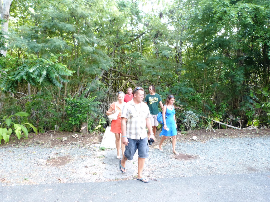 P1230208