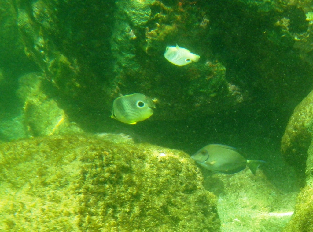 RIMG1406