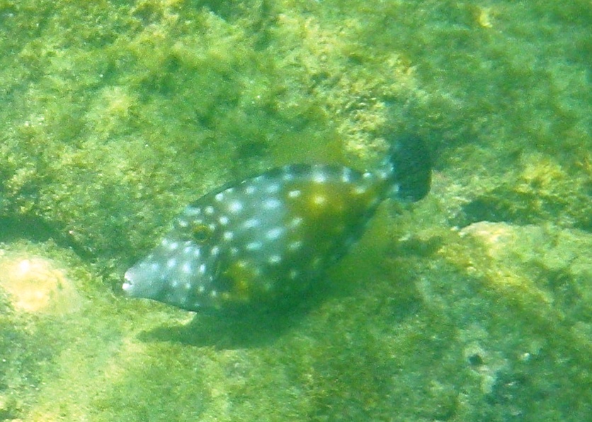 RIMG1467