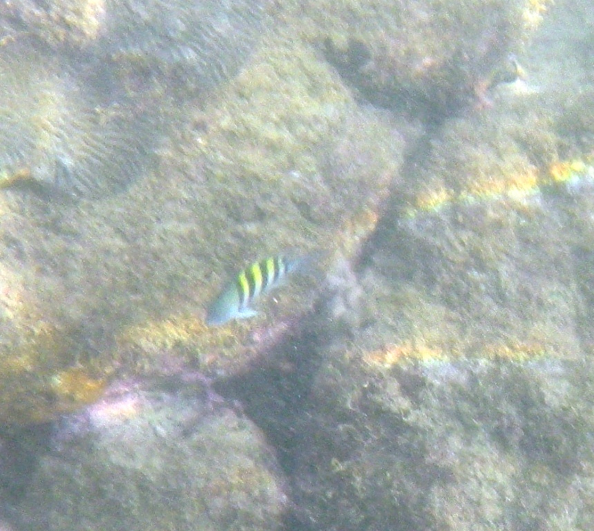 RIMG1495
