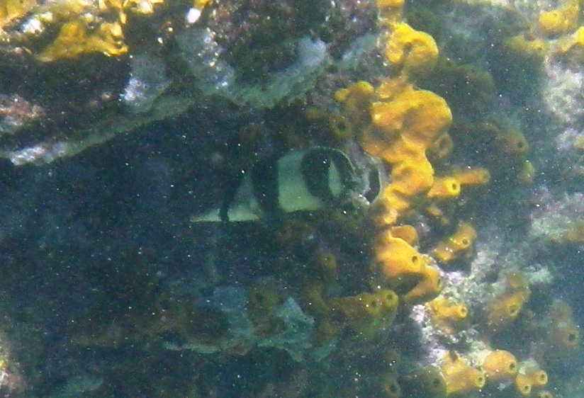RIMG1762