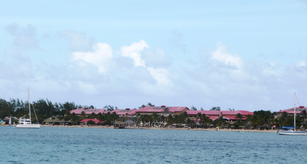 P1230562
