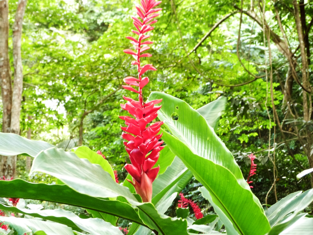 P1230778