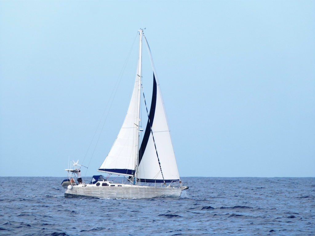 P1230986