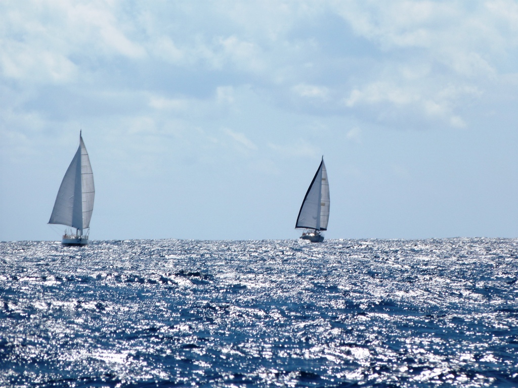 P1240094
