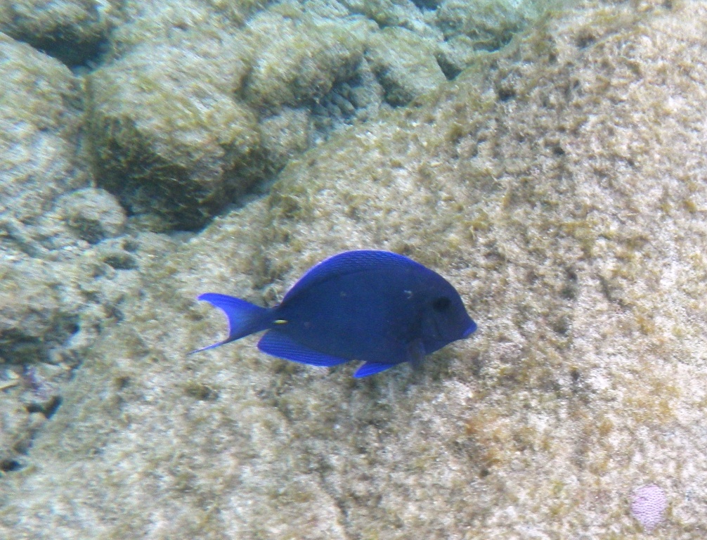 RIMG2223