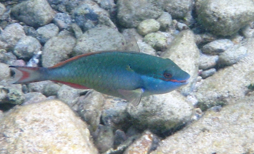 RIMG2316