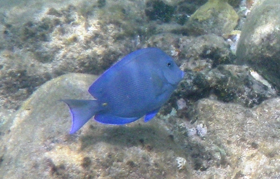 RIMG2321