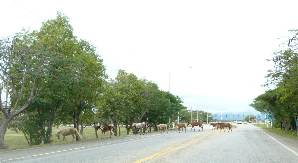 P1240695