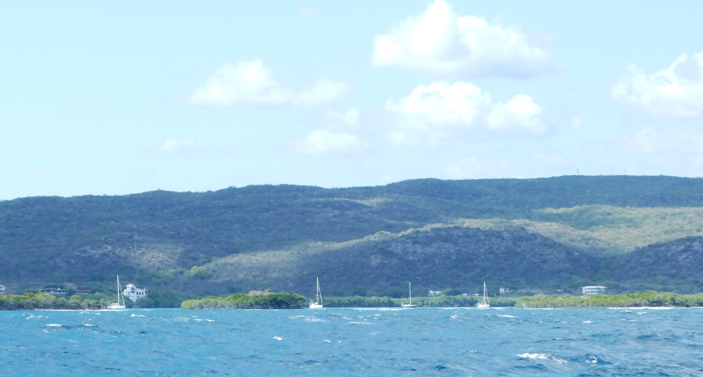 P1240899