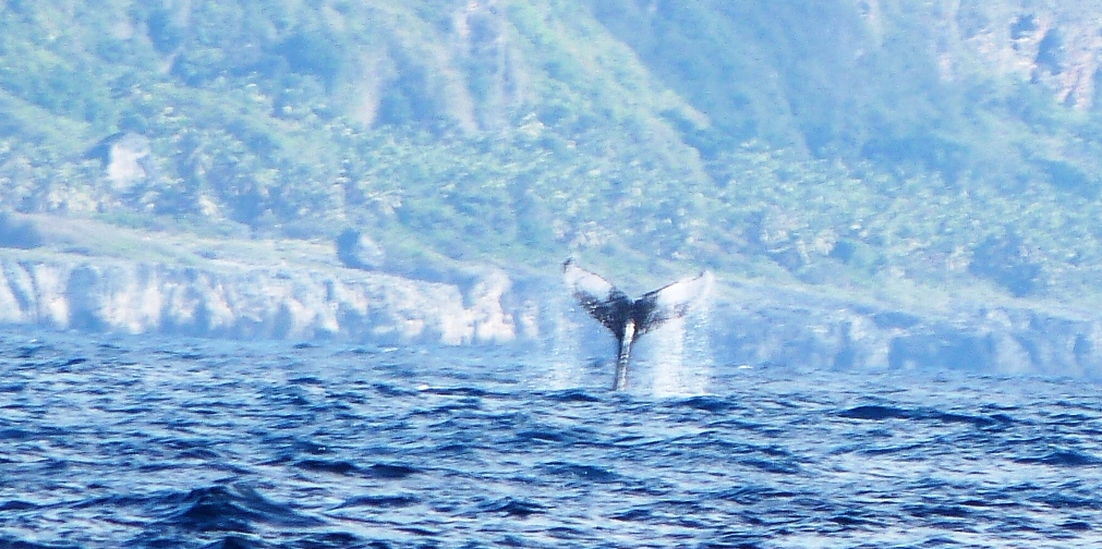 P1250050