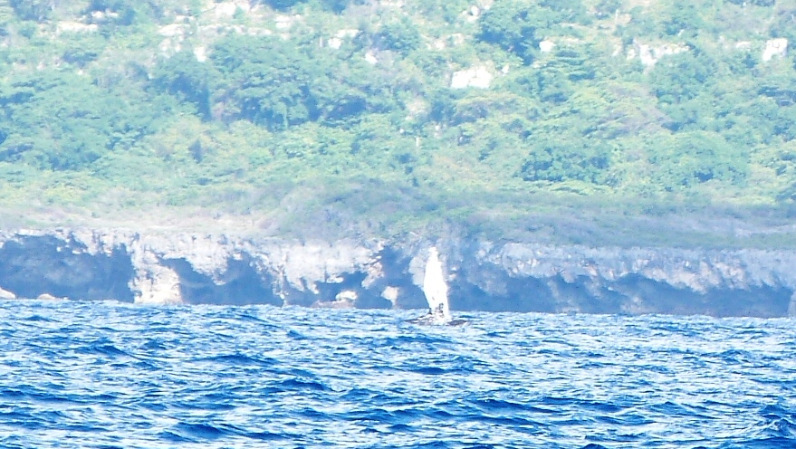 P1250093