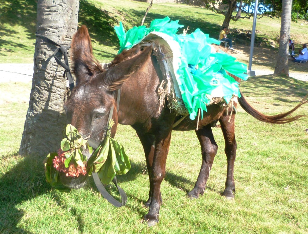 P1250501