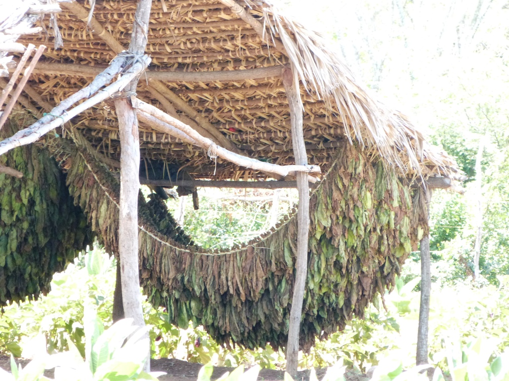 P1250966