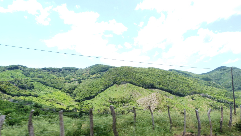 P1260079