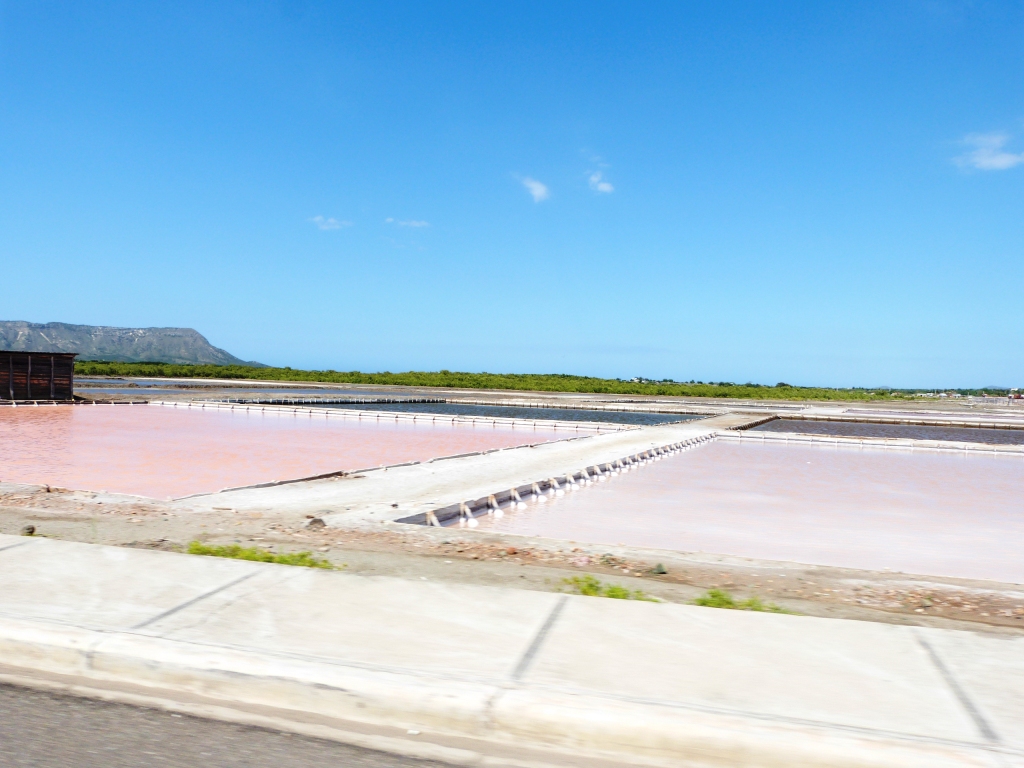 P1260131