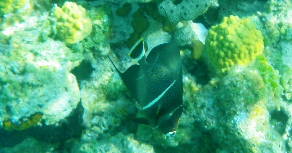 RIMG2864