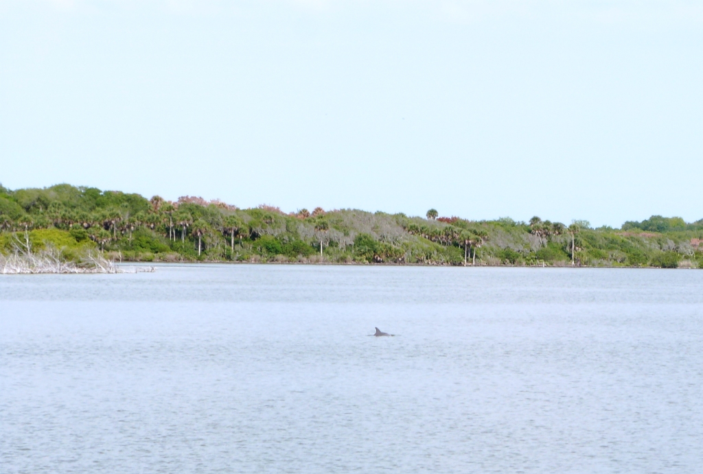 P1270662