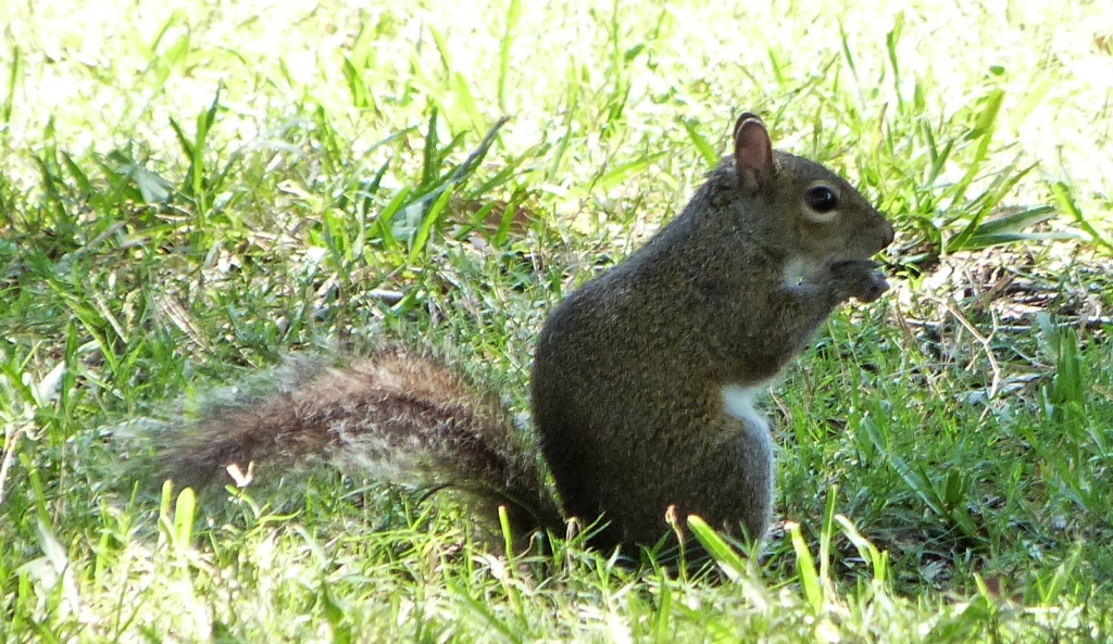 P1270868