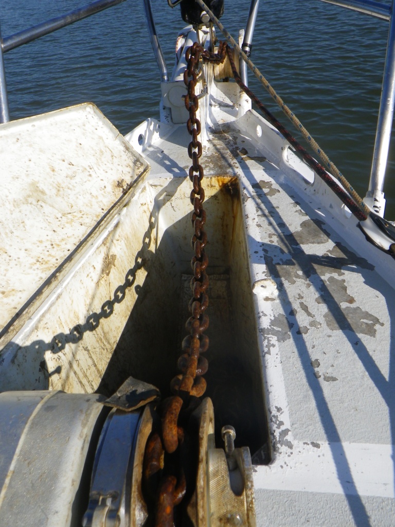 RIMG3285