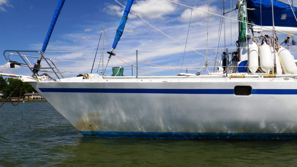 RIMG3308