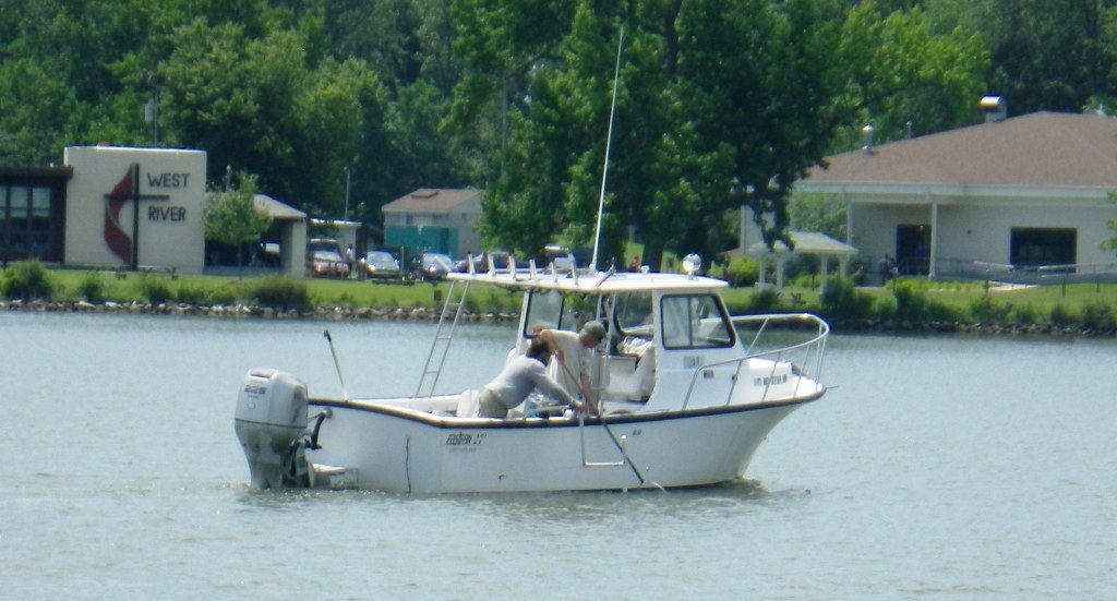 RIMG3340