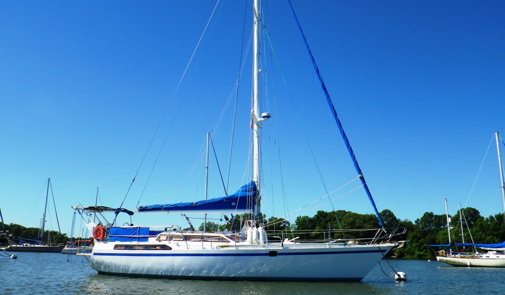 RIMG3922