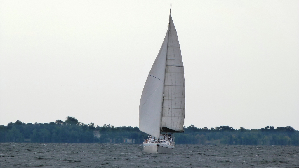 p1290353