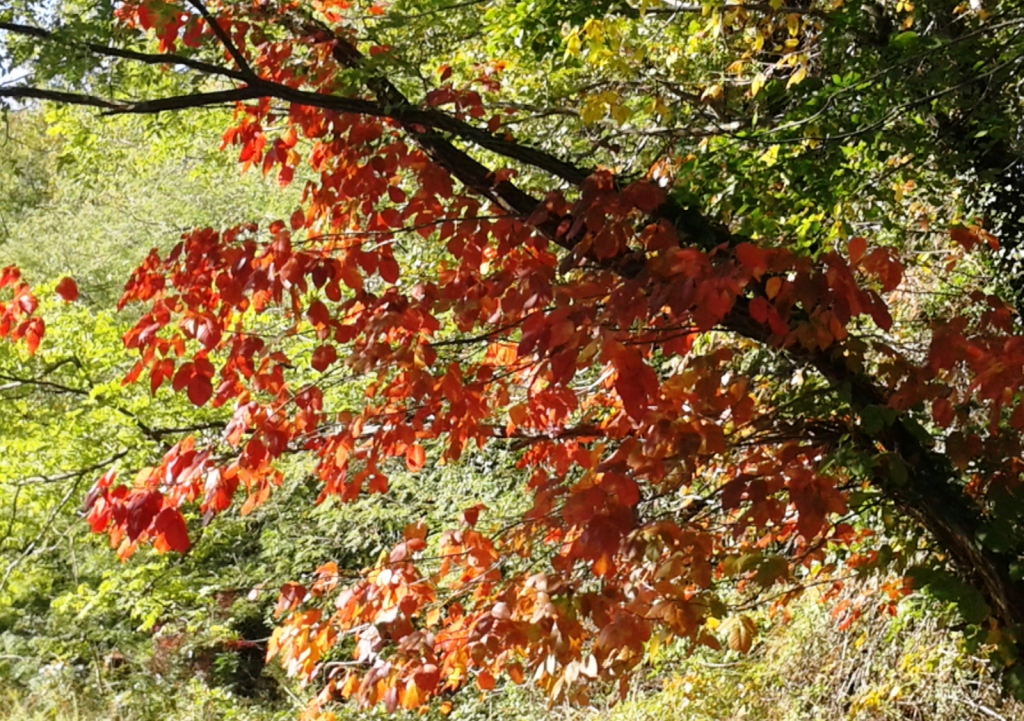 20161017_094609