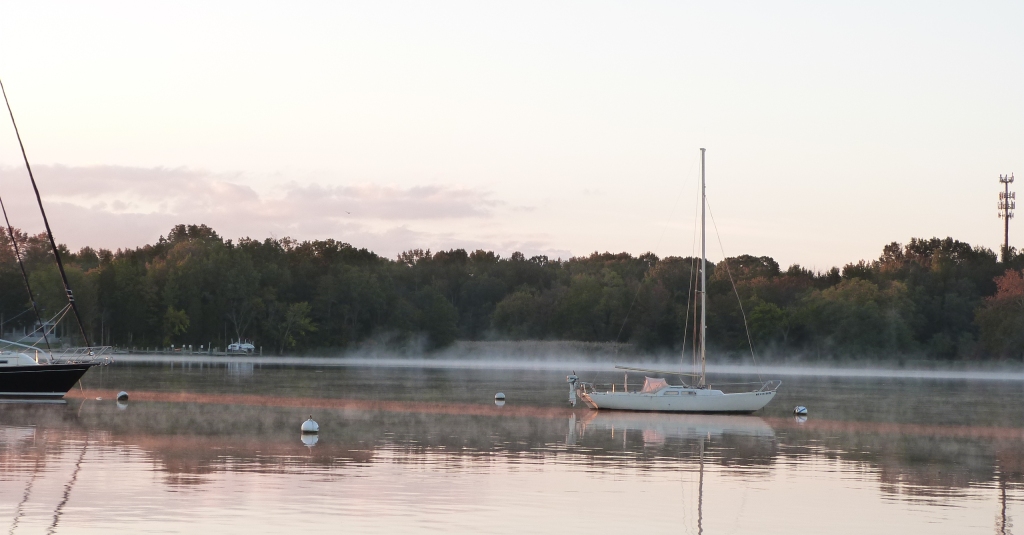 p1290388