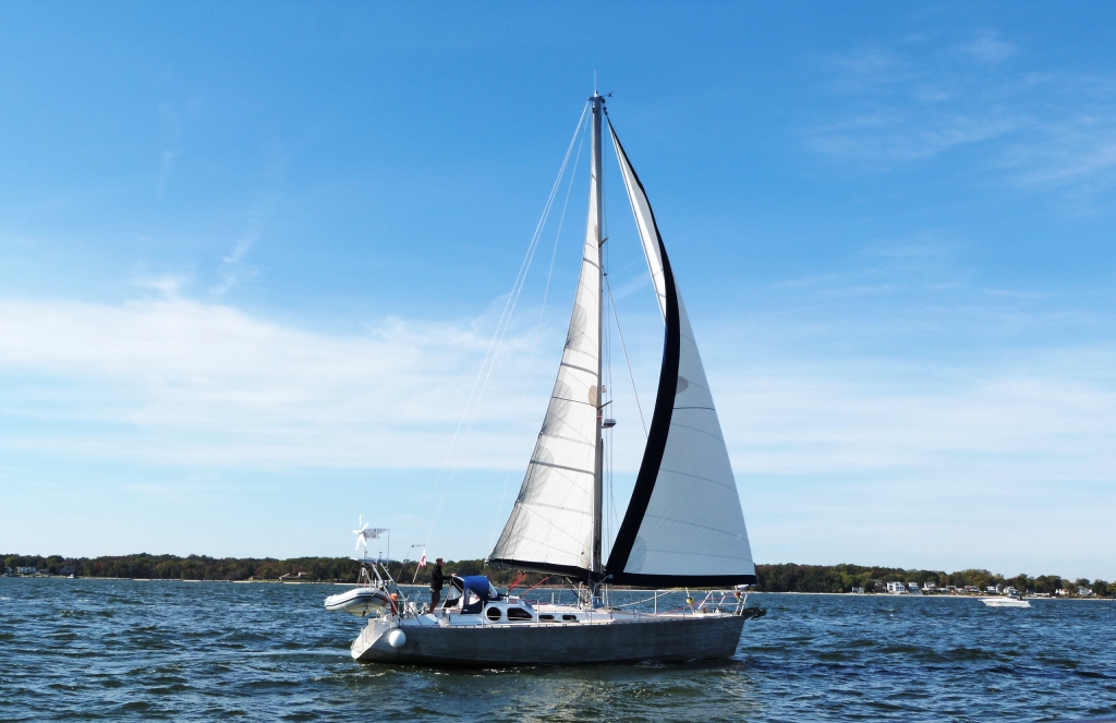 p1290405