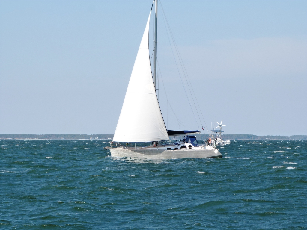 p1290451