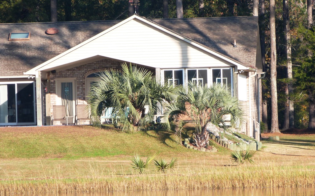 p1290534